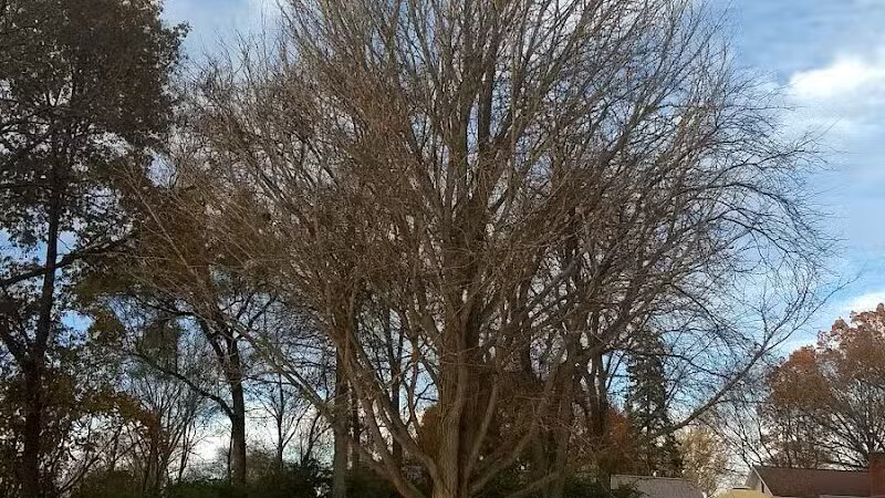 Troy City Park - Troy, OH