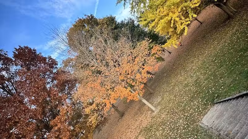 Troy City Park - Troy, OH