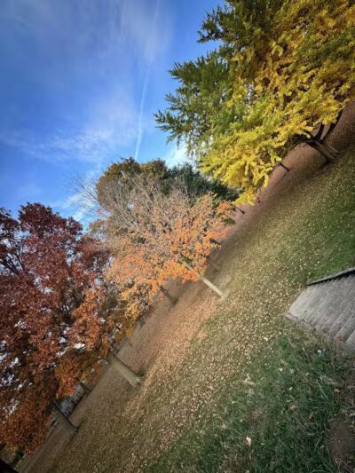 Troy City Park - Troy, OH