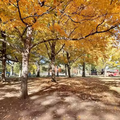 Troy Park Shelter Reservations - Troy, OH