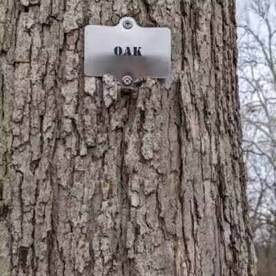 Twin Arch Reserve - Troy, OH