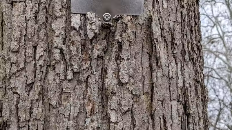 Twin Arch Reserve - Troy, OH