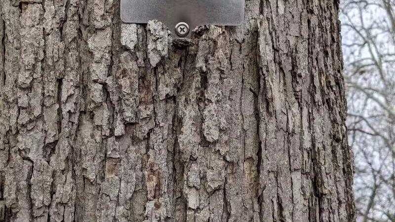 Twin Arch Reserve - Troy, OH