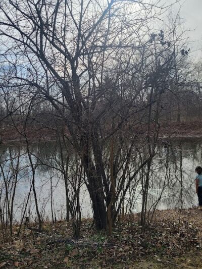 Twin Arch Reserve Parking Lot - Troy, OH