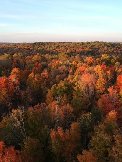 Liberty Park Recreation Area and Dog Park - Twinsburg, OH