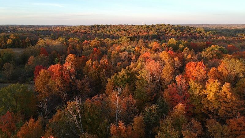 Liberty Park Recreation Area and Dog Park - Twinsburg, OH