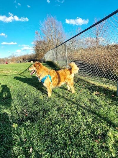 Twinsburg Dog Park - Twinsburg, OH