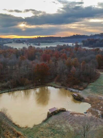 Bullseye Pheasant Preserve - Uhrichsville, OH