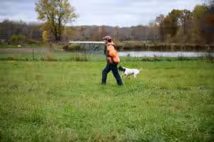 Bullseye Pheasant Preserve - Uhrichsville, OH