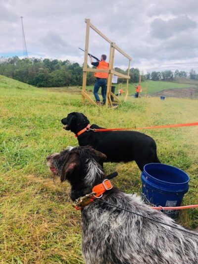 Bullseye Pheasant Preserve - Uhrichsville, OH