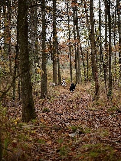 Bullseye Pheasant Preserve - Uhrichsville, OH