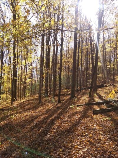 Tappan Dam Trailhead (Buckeye Trail) - Uhrichsville, OH