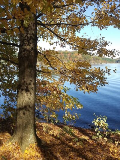 Tappan Dam Trailhead (Buckeye Trail) - Uhrichsville, OH