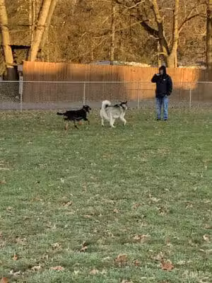 Tails on the Trail (Dog Park) - Uniontown, PA