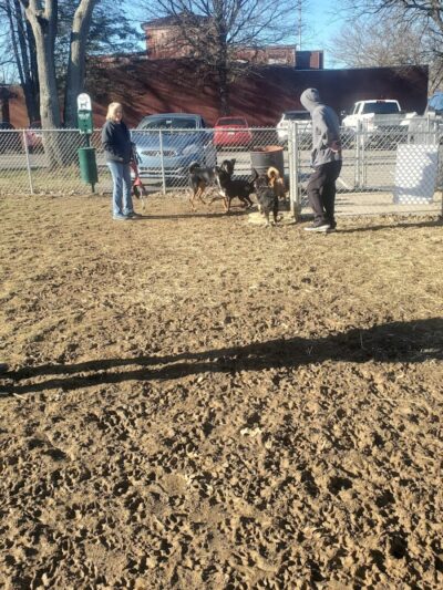 Tails on the Trail (Dog Park) - Uniontown, PA