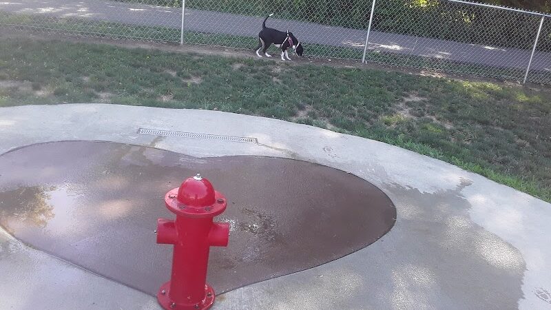 Tails on the Trail (Dog Park) - Uniontown, PA