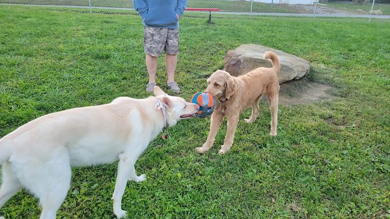 Tails on the Trail (Dog Park) - Uniontown, PA