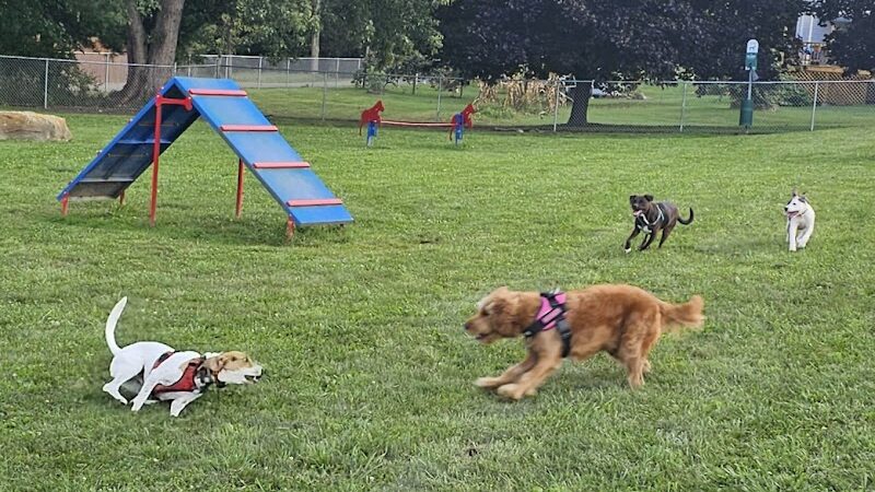 Tails on the Trail (Dog Park) - Uniontown, PA