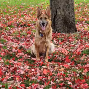 Stepping Stones Park - Upper Sandusky, OH