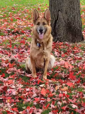 Stepping Stones Park - Upper Sandusky, OH