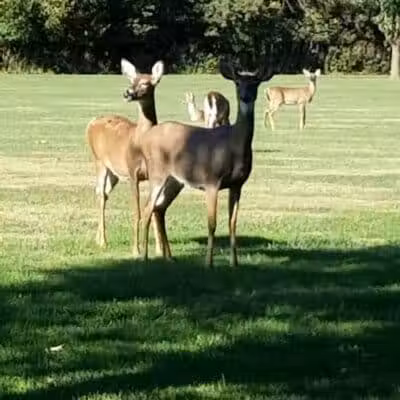 Stepping Stones Park - Upper Sandusky, OH