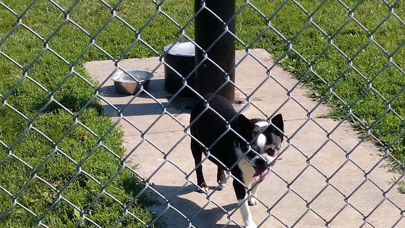 Fido's Field Dog Park - Urbana, OH