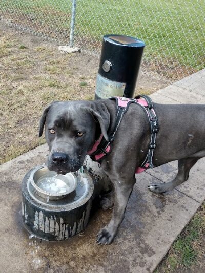 Fido's Field Dog Park - Urbana, OH