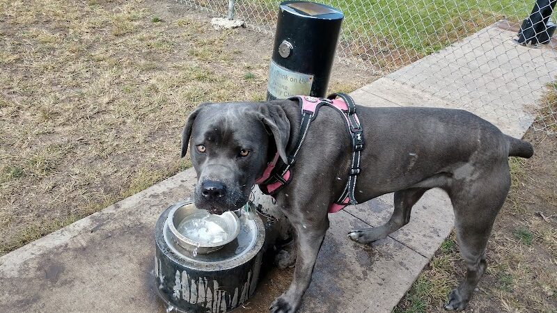 Fido's Field Dog Park - Urbana, OH