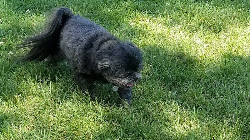 Fido's Field Dog Park - Urbana, OH