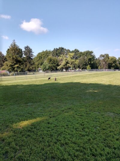 Fido's Field Dog Park - Urbana, OH
