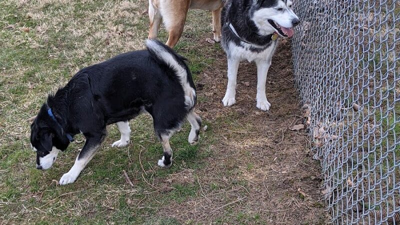 Fido's Field Dog Park - Urbana, OH