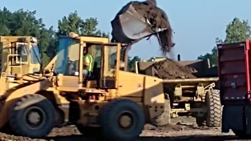 Pioneer Dog Park - Utica, MI