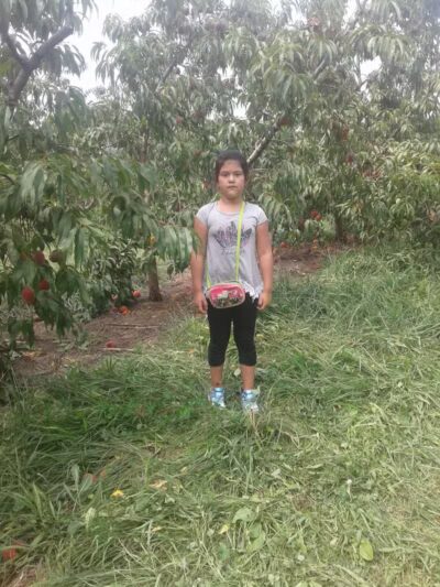 Miller Park - Utica, OH