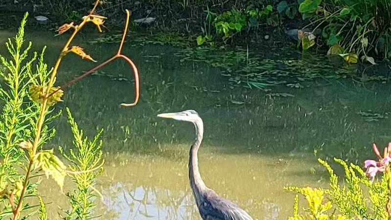 Aqueduct Trailhead - Valley View, OH