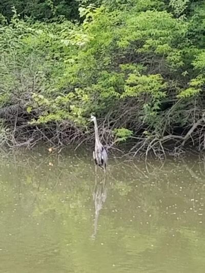 Ohio to Erie Trail, Canal Road Access - Valley View, OH