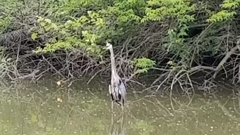 Ohio to Erie Trail, Canal Road Access - Valley View, OH