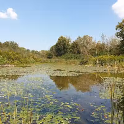 Ohio to Erie Trail, Canal Road Access - Valley View, OH