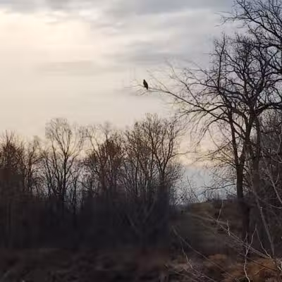 Ohio to Erie Trail, Canal Road Access - Valley View, OH