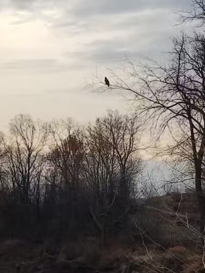 Ohio to Erie Trail, Canal Road Access - Valley View, OH