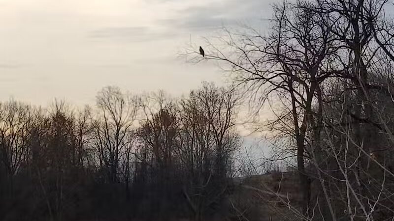 Ohio to Erie Trail, Canal Road Access - Valley View, OH