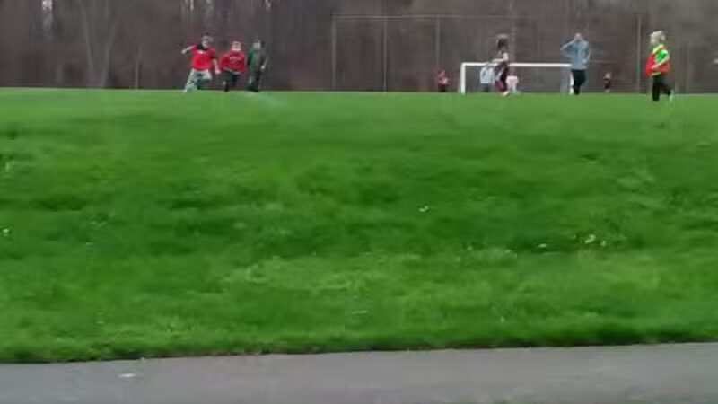 Valley View Woods Park - Valley View, OH