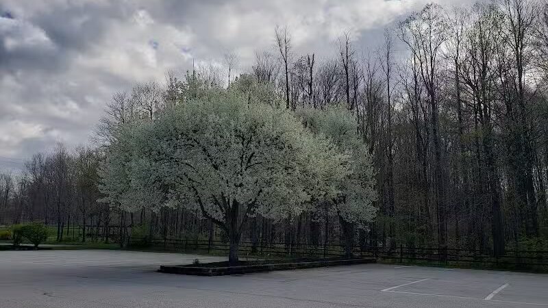 Valley View Woods Park - Valley View, OH