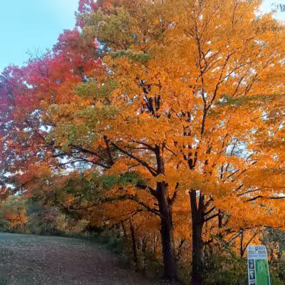 Van Buren State Park - Van Buren, OH