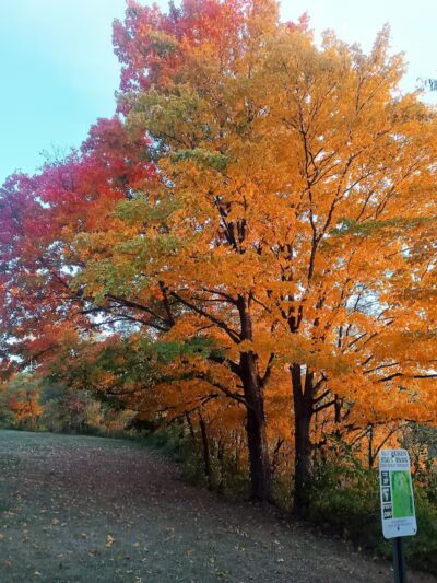 Van Buren State Park - Van Buren, OH