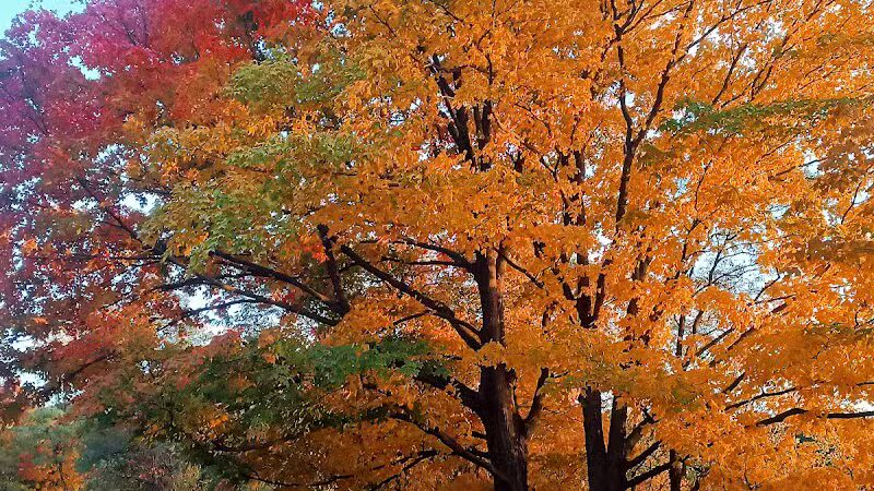 Van Buren State Park - Van Buren, OH