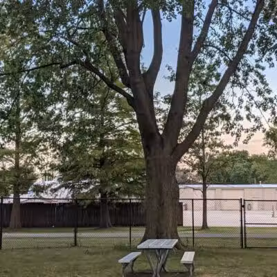 Van Wert Community Dog Park - Van Wert, OH