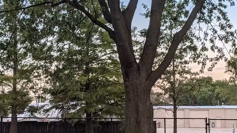 Van Wert Community Dog Park - Van Wert, OH