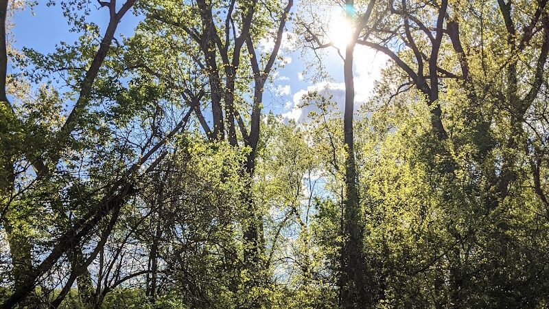 Englewood MetroPark Disc Golf Course - Vandalia, OH