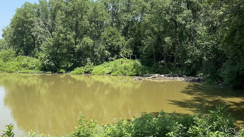 Englewood MetroPark Disc Golf Course - Vandalia, OH