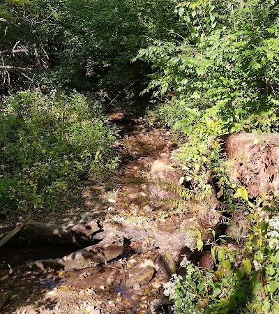 Englewood MetroPark East Park - Vandalia, OH